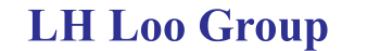 LH Loo Group - Tax Services | Audit Services